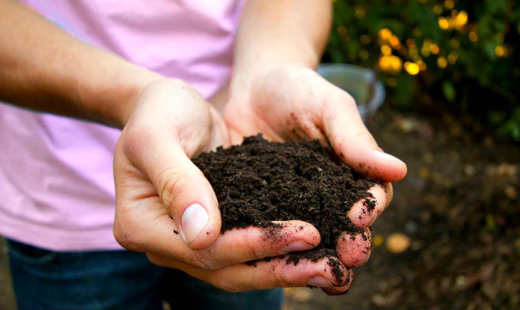 compostagem o destino correto para o lixo org nico compostagem o destino correto para o lixo org nico