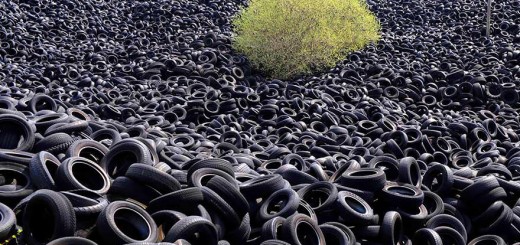 reciclagem de pneus