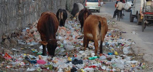 Gestão de resíduos