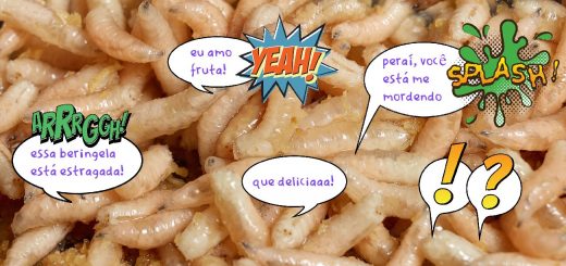 Larvas na compostagem