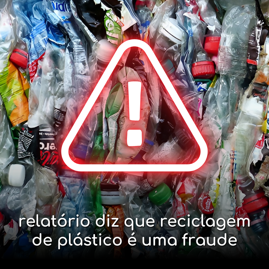 Reciclar plástico é uma fraude